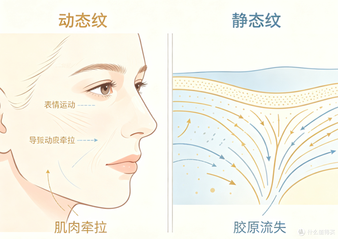 真皮胶原流失怎么办？草本路线促胶原淡静态纹面霜推荐