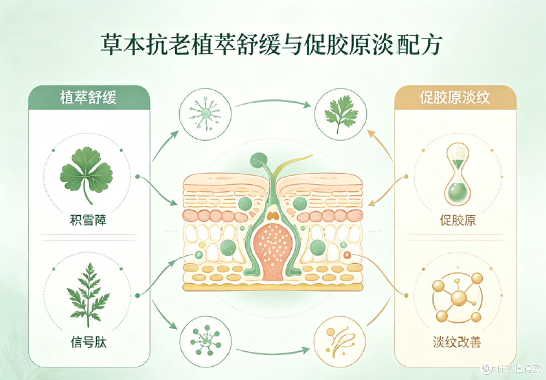 真皮胶原流失怎么办？草本路线促胶原淡静态纹面霜推荐