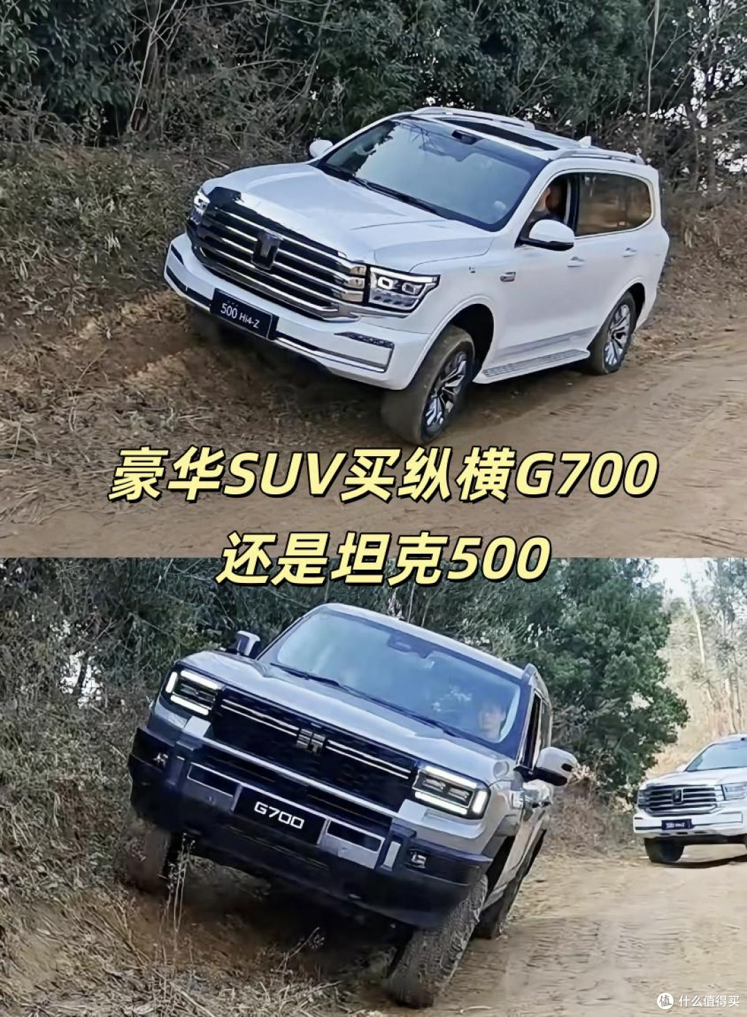 豪华SUV买纵横G700还是坦克S00