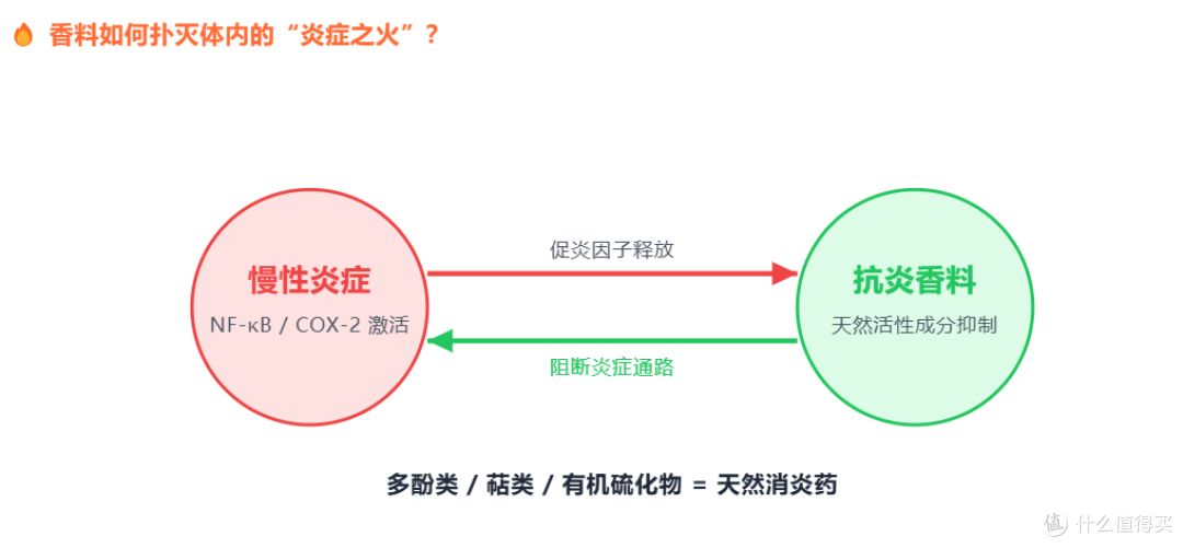 厨房里藏着的5大“抗炎香料”,每天吃一点,比吃补剂管用!