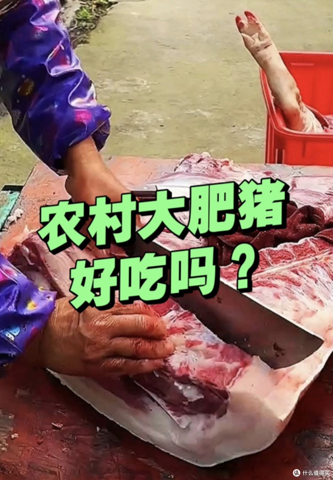 超市的猪肉vs农村大集大肥猪,你会买哪一种?区别在哪里?