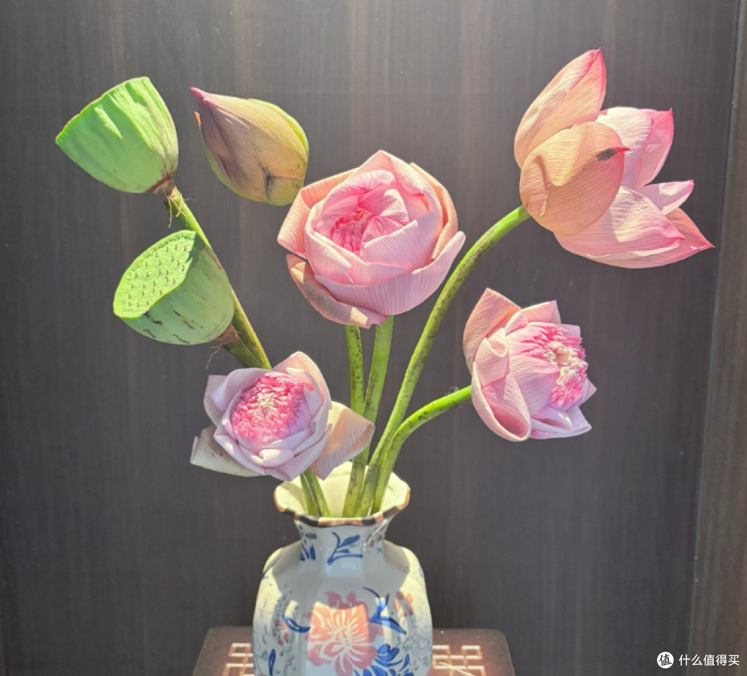 把荷塘搬进家：夏季荷花家庭插花全攻略