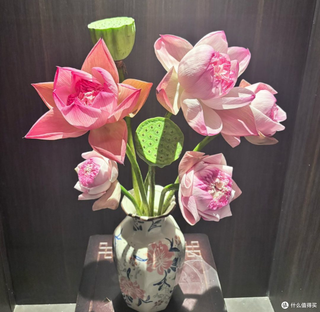 把荷塘搬进家：夏季荷花家庭插花全攻略