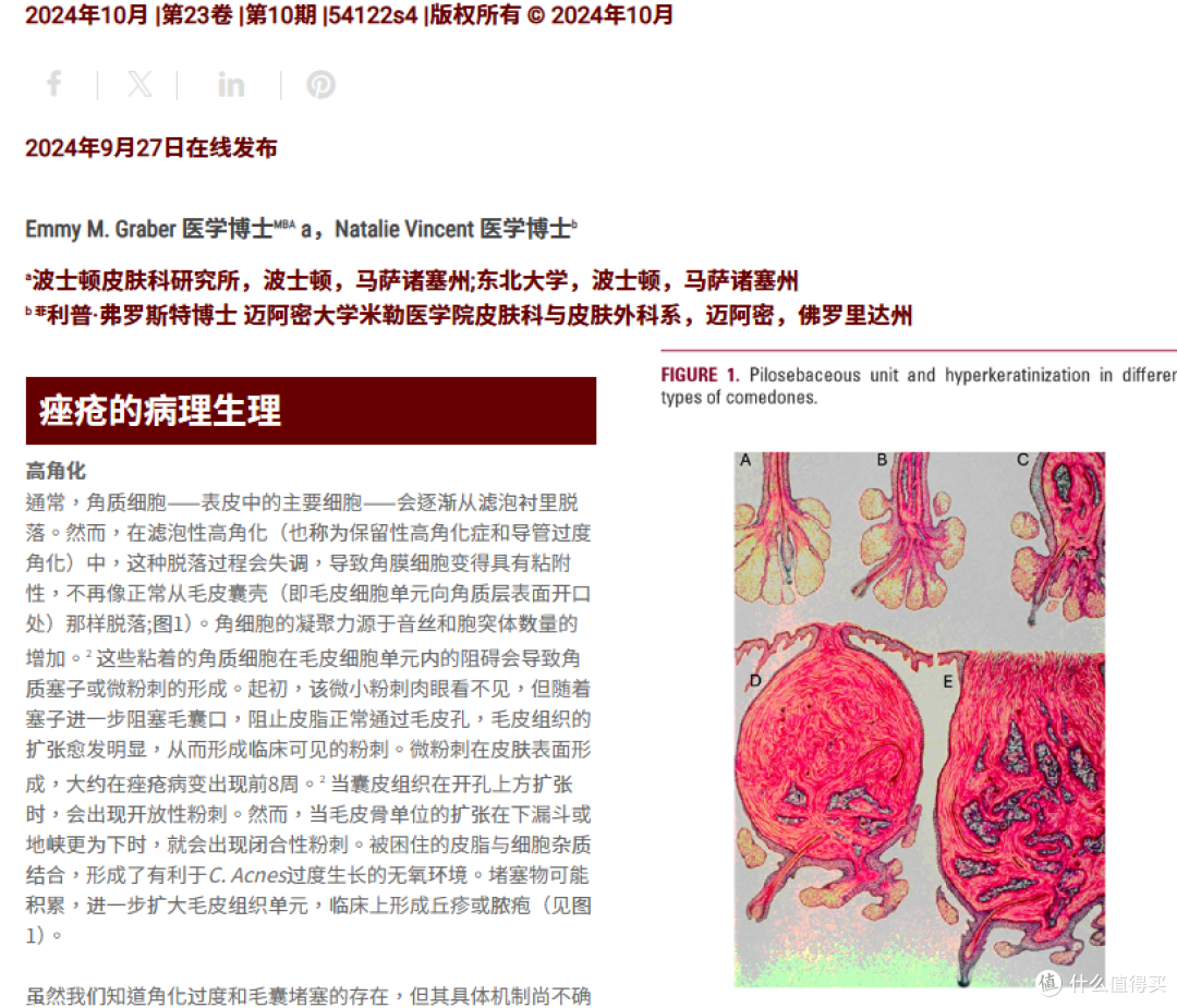 一颗痘痘的形成要八周?