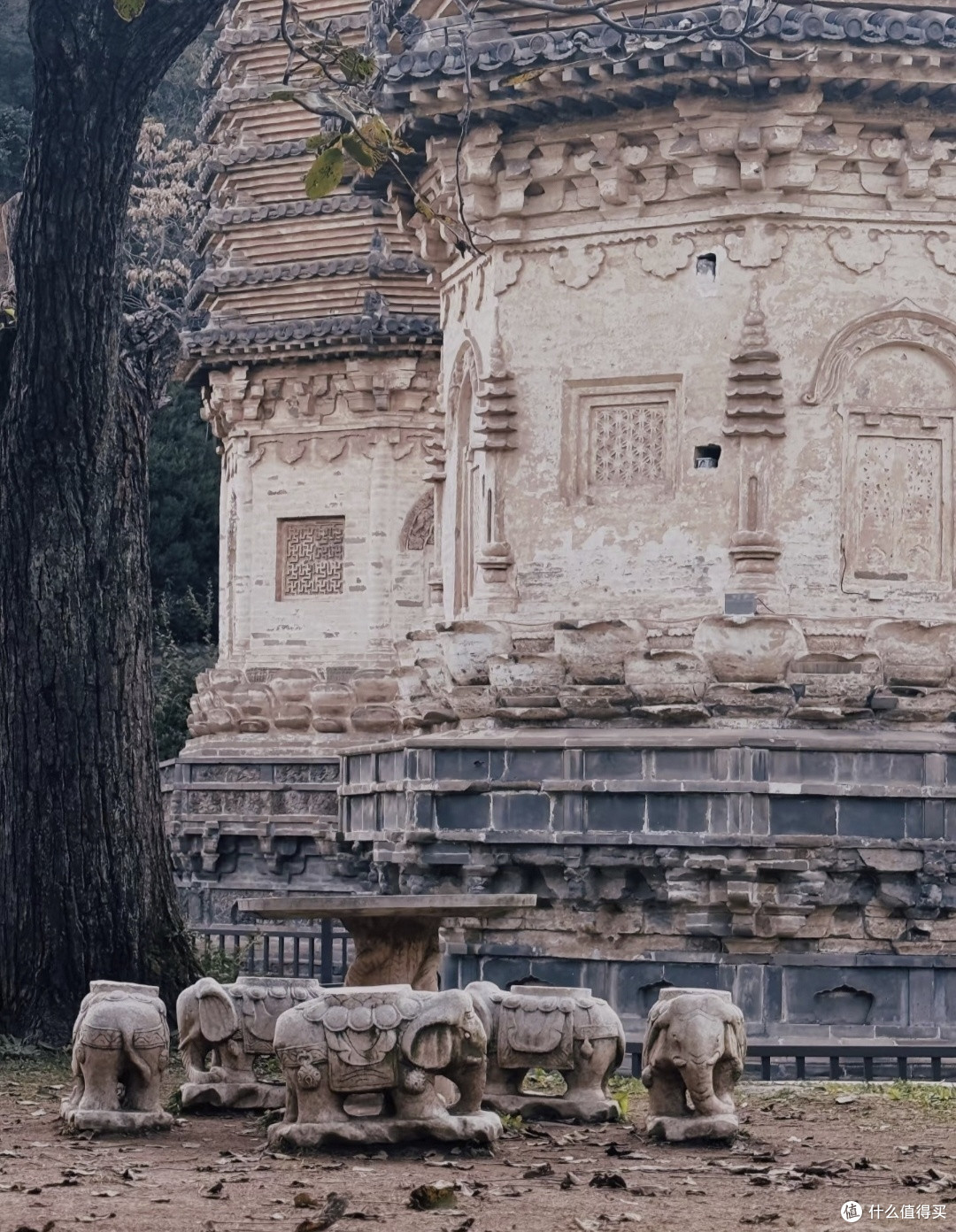 夏日古建漫游｜银山塔林，在古塔群触摸百年时光
