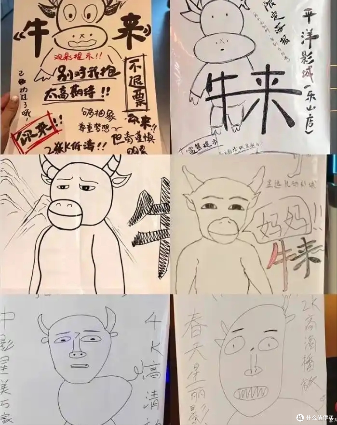 《牛来》票房冲1.35亿,草根导演信雨萌到底能赚多少钱?