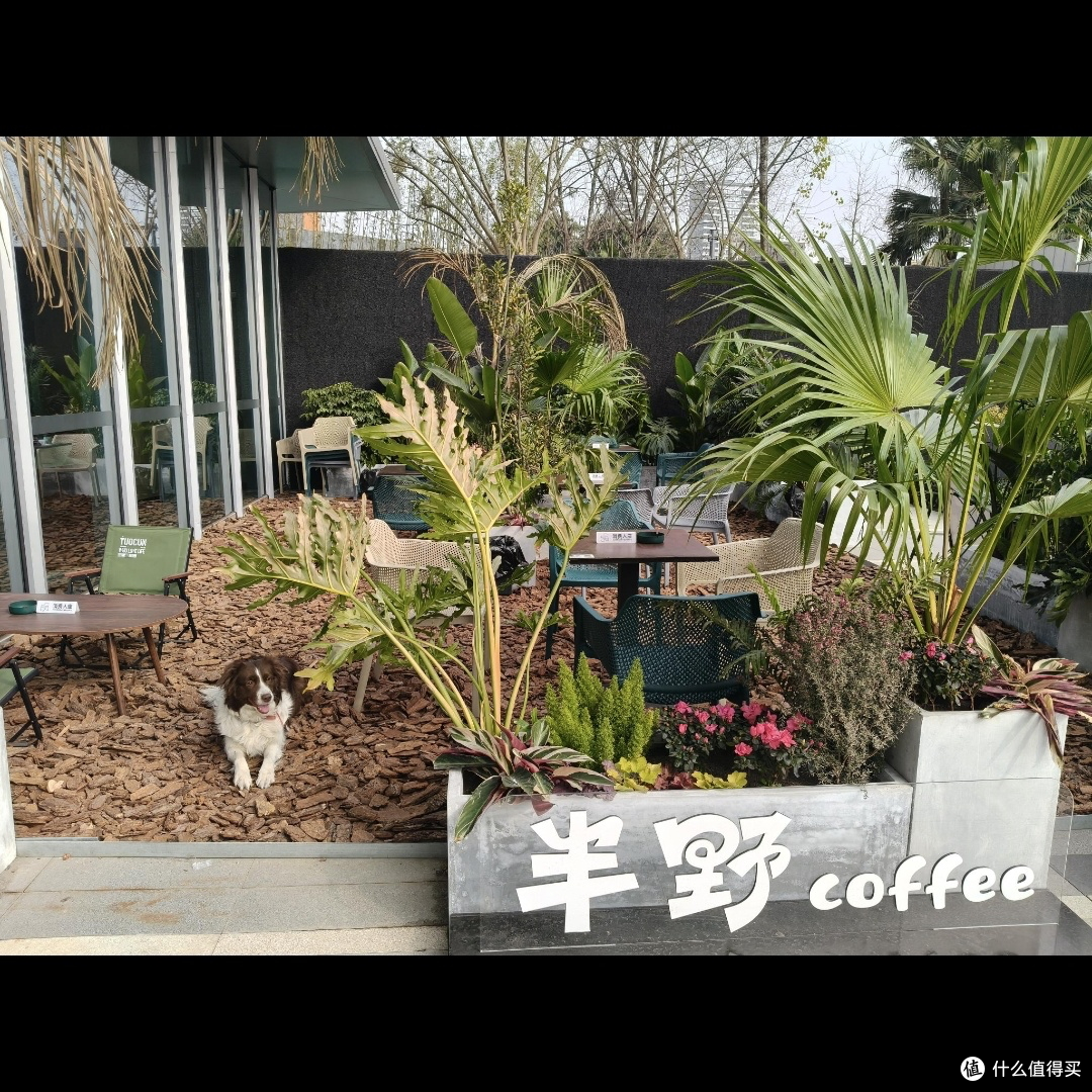 秋日citywalk路线推荐:打卡银杏大道、咖啡馆、旧书店