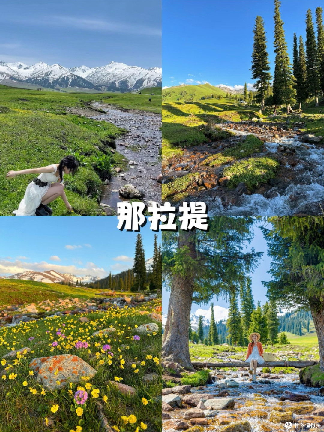 新疆之旅:勇敢者的黄金盛宴