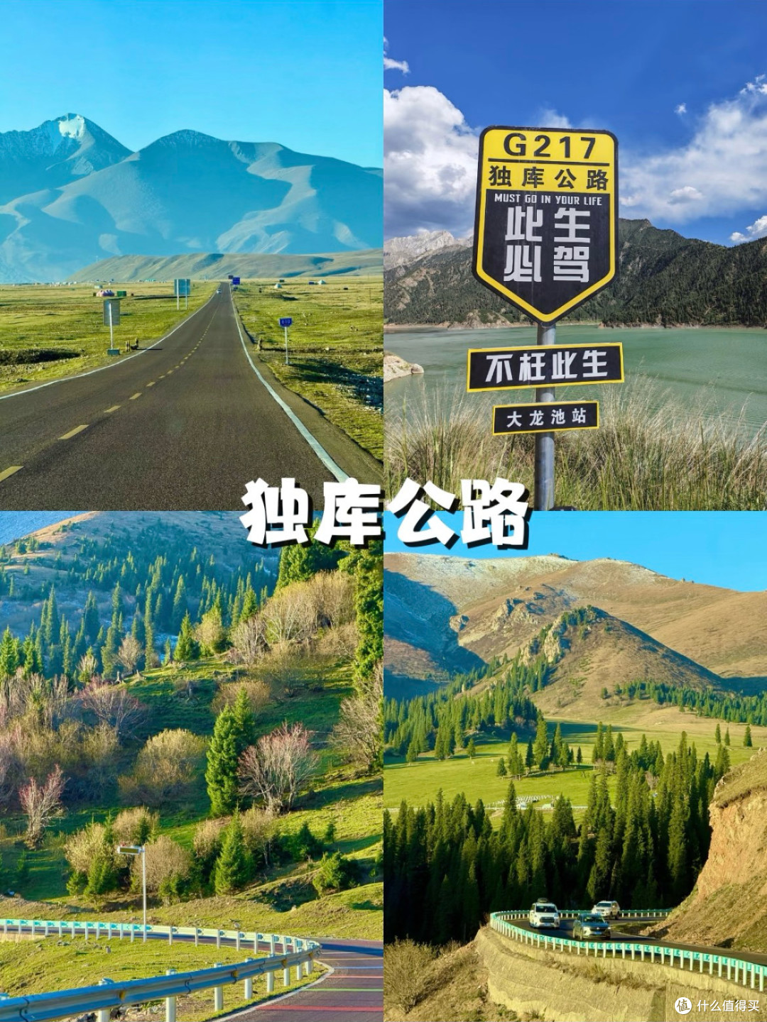 新疆之旅:勇敢者的黄金盛宴