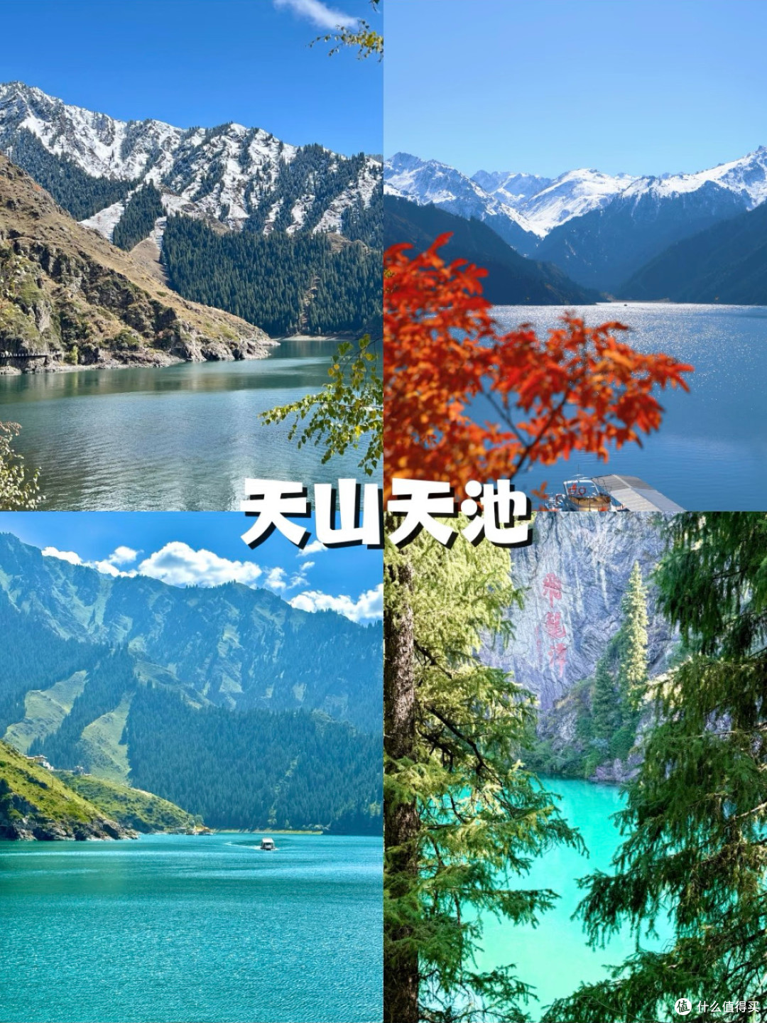 新疆之旅:勇敢者的黄金盛宴