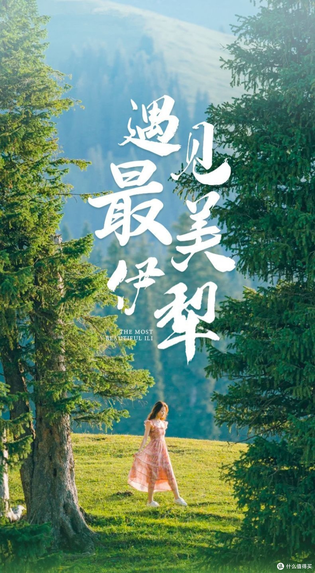 喀纳斯秋景：自然与人文的完美融合