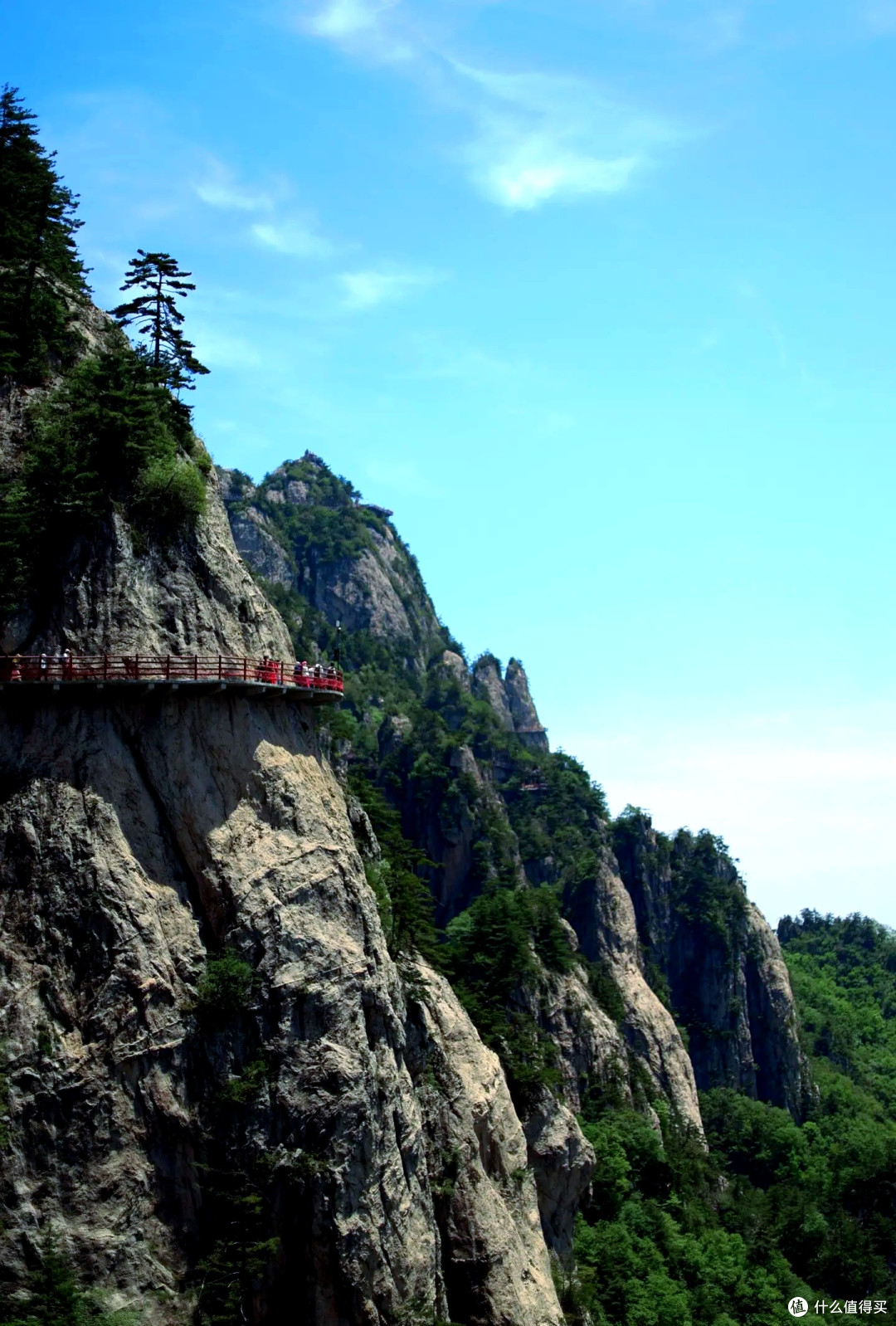 老君山秋日云海与红叶