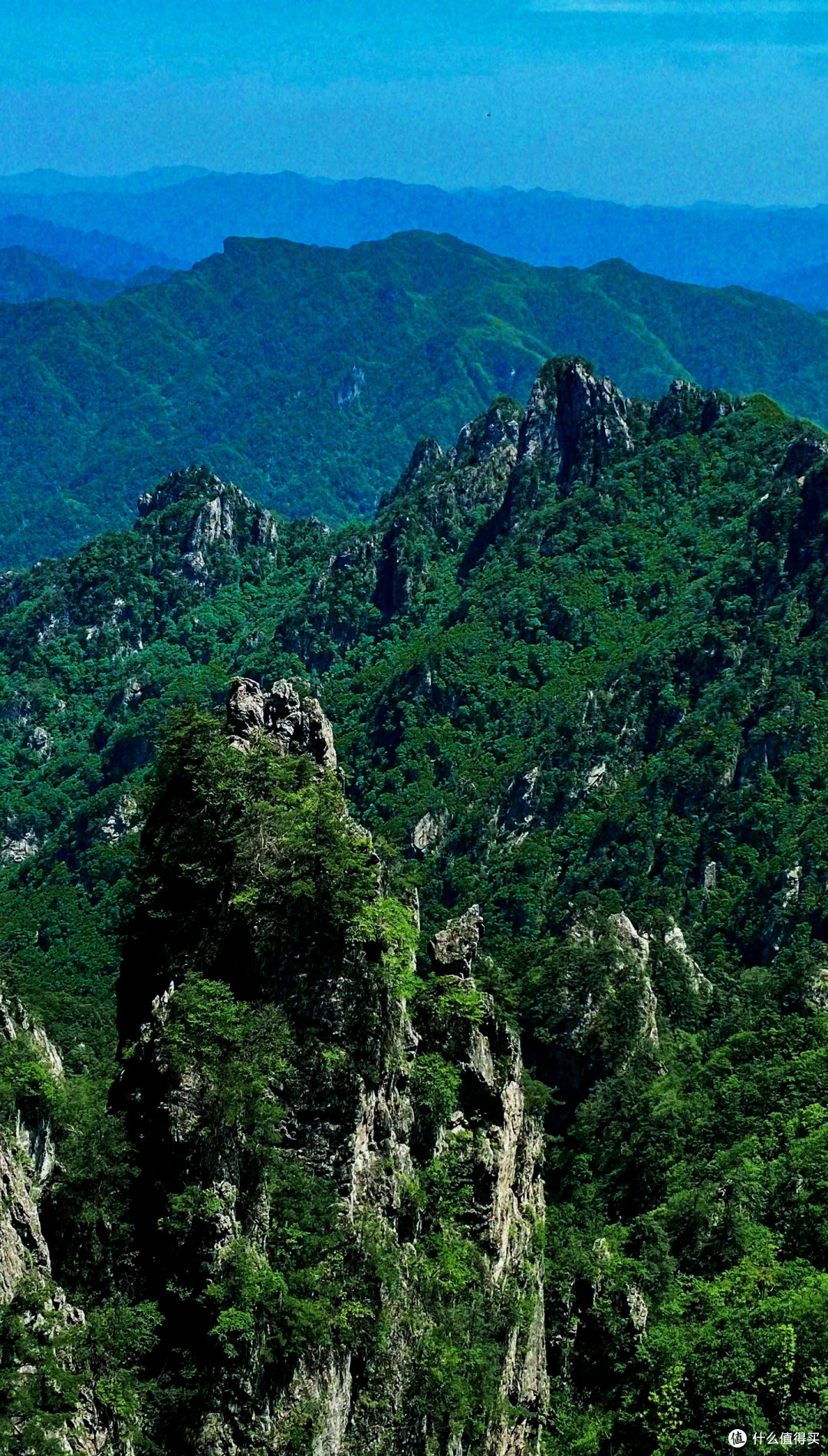 老君山秋日云海与红叶