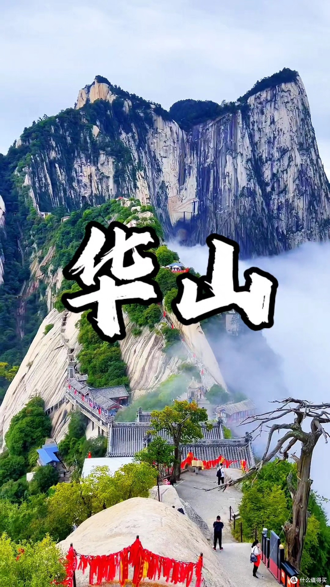 华山秋景：险峰与红叶相映