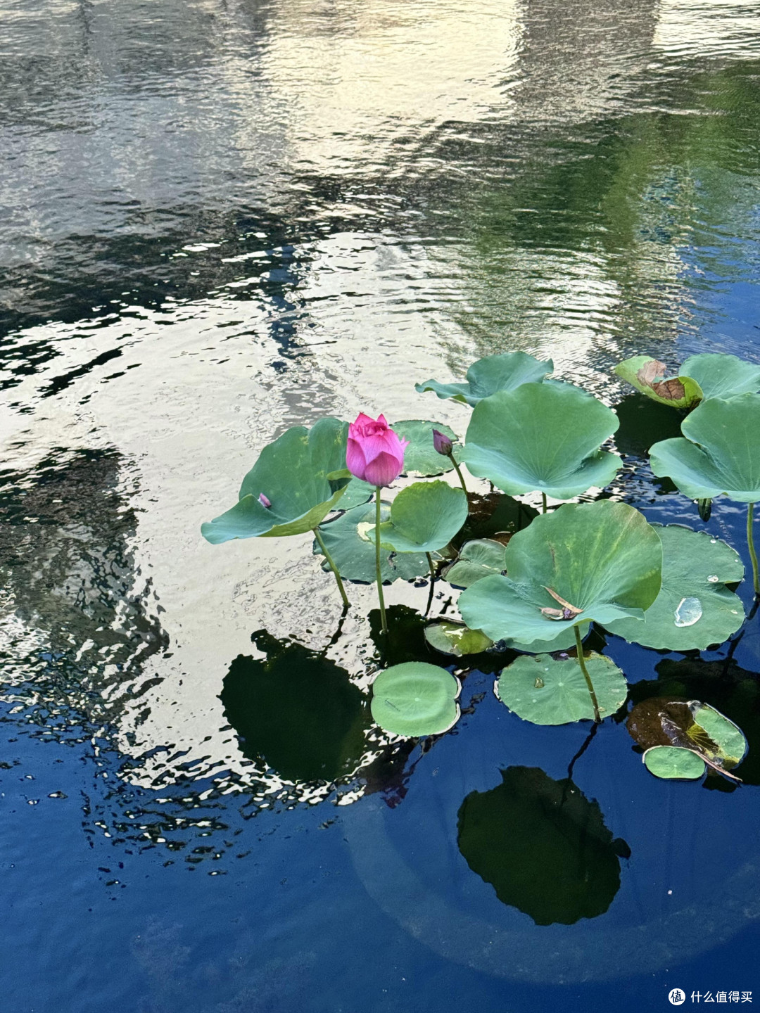 秋日小众旅行:山野古镇湖畔