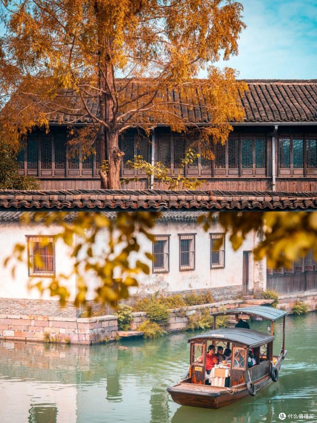 乌镇五日:开学前的一场秋水长天