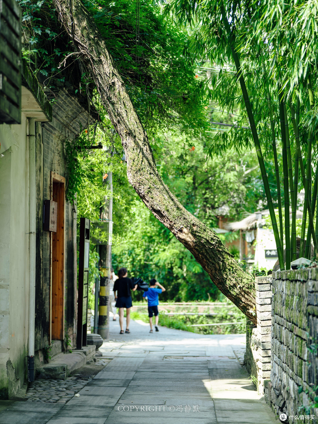 秋日小众环线：避开网红景区