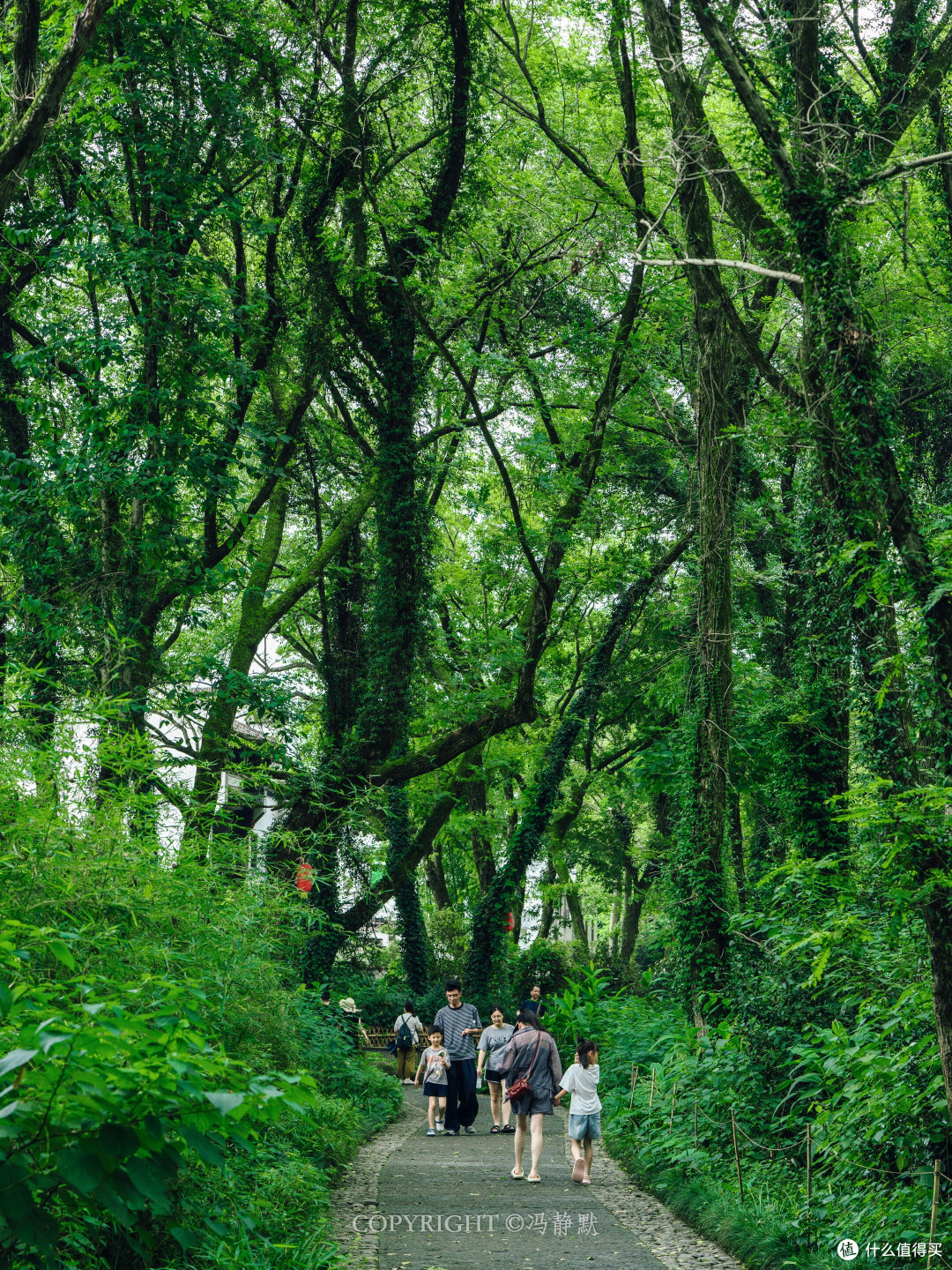 秋日小众环线:避开网红景区