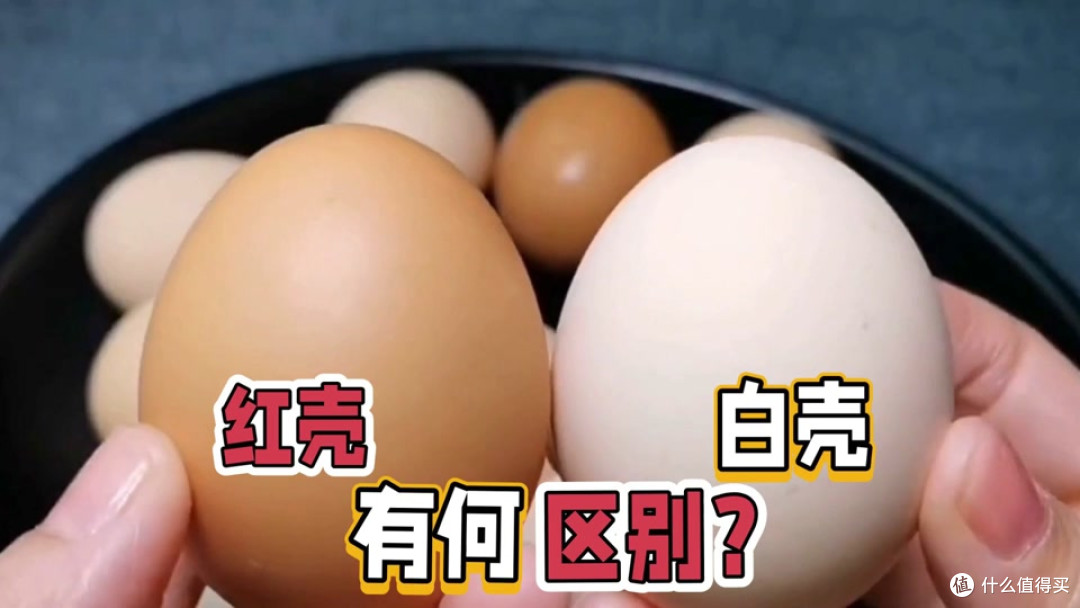 鸡蛋要选红壳还是白壳?原来差别这么大,养殖户不小心说漏嘴了
