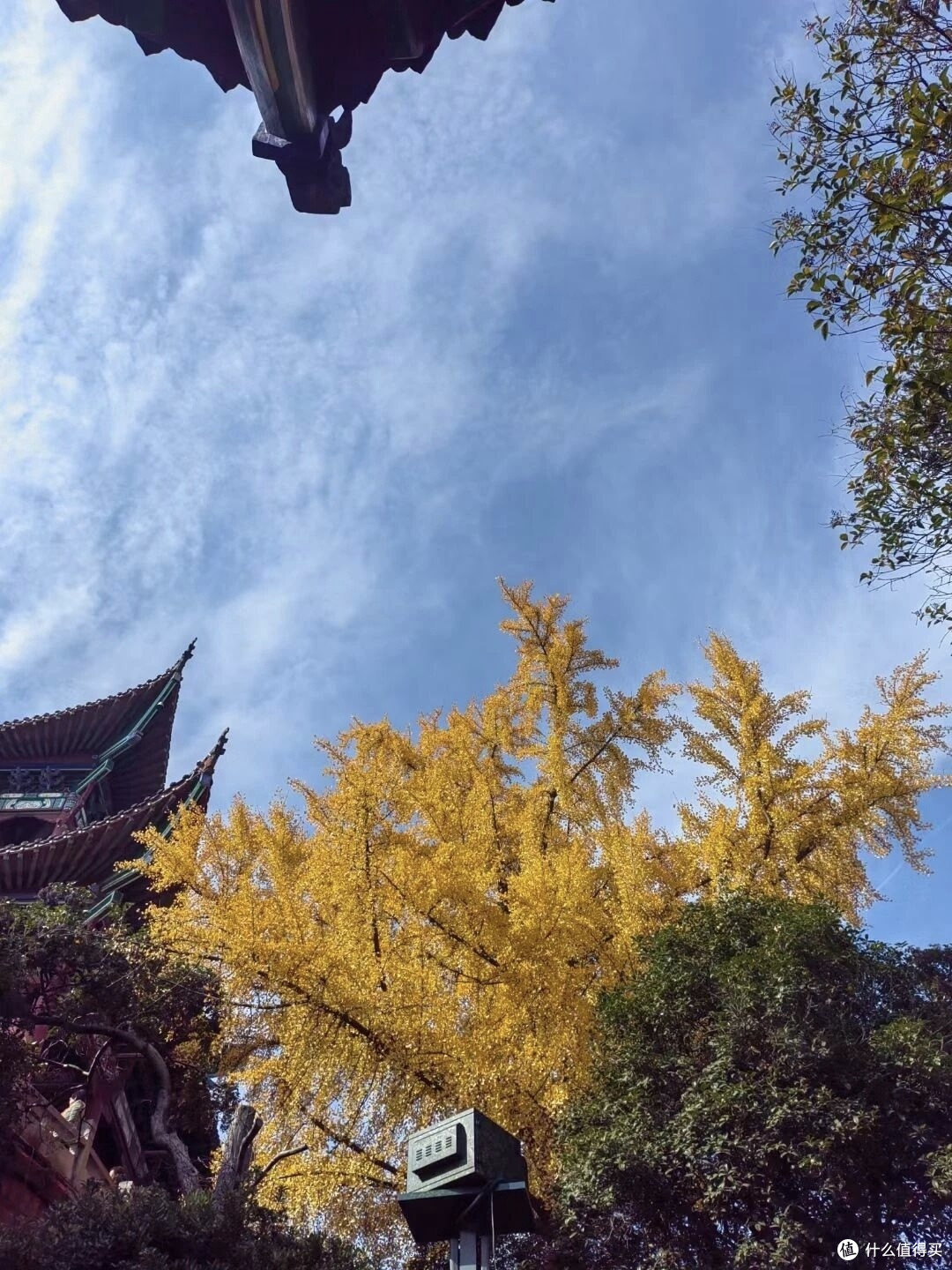 在蔡甸,偷得浮生半日闲