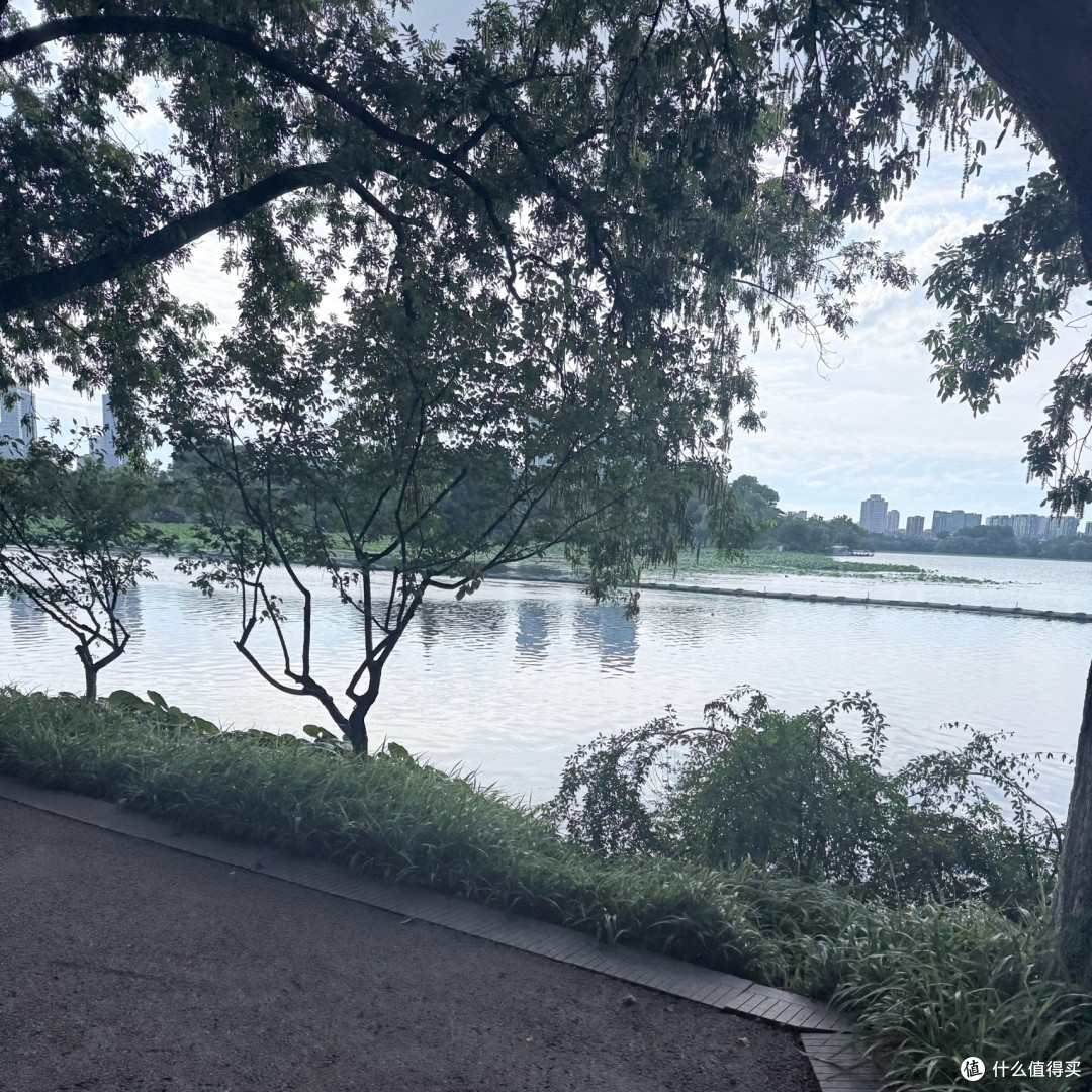 避开人挤人,来玄武湖找一份初秋的松弛感