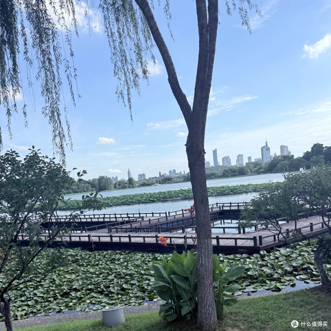 避开人挤人,来玄武湖找一份初秋的松弛感