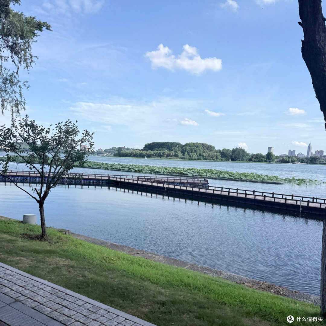 避开人挤人,来玄武湖找一份初秋的松弛感