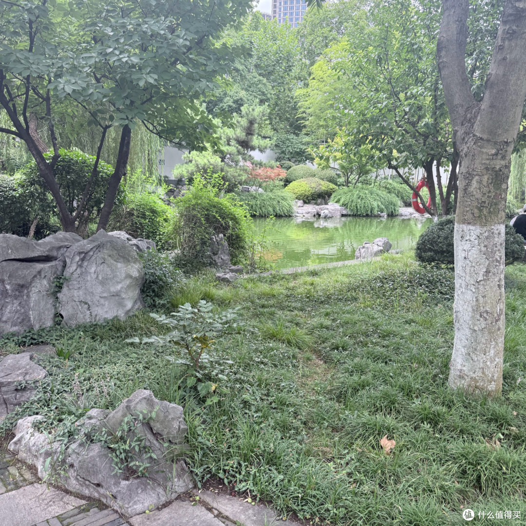 褪去暑气,在总统府的初秋里穿行