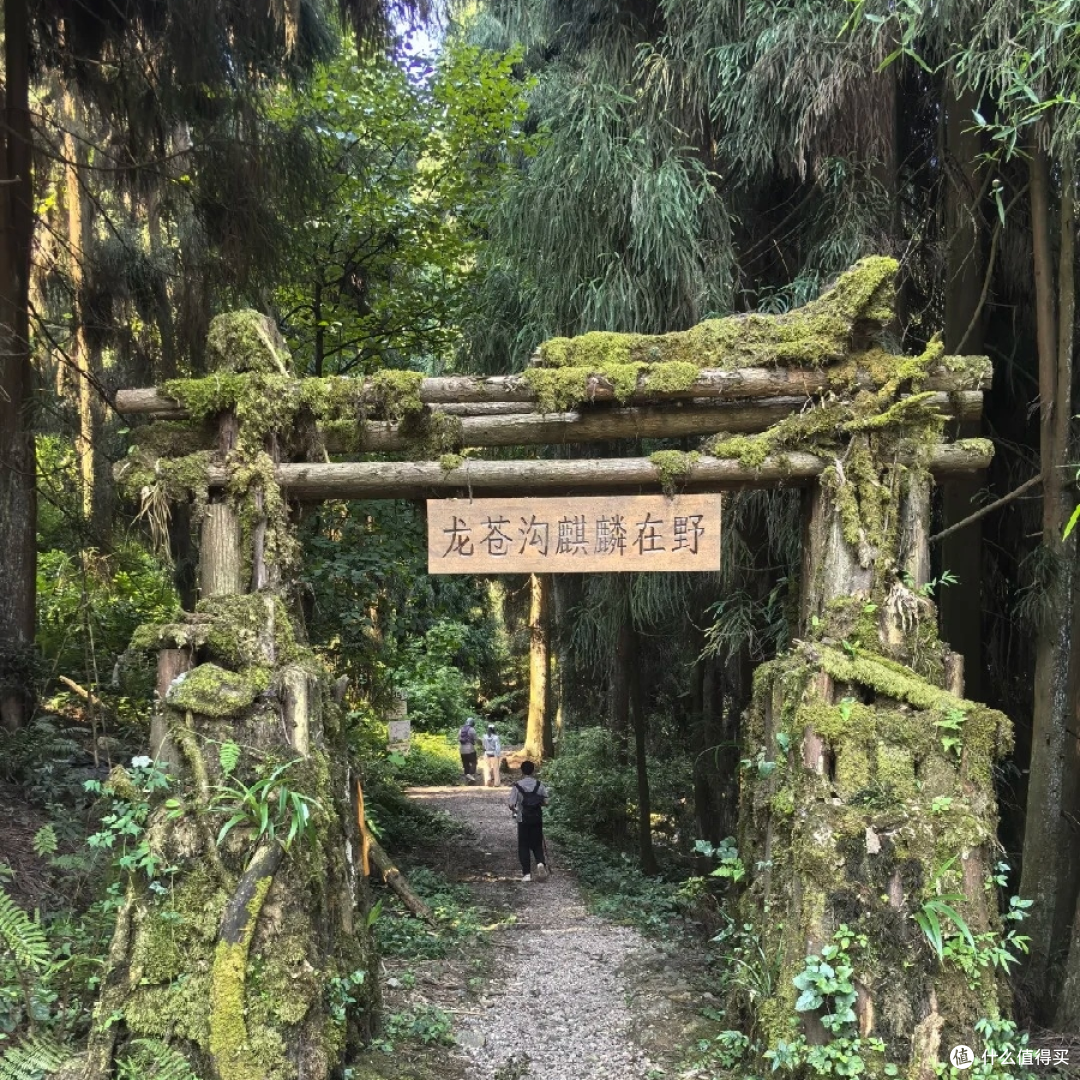 夏去秋来好出游:龙苍沟叠翠溪,自然课堂轻松行