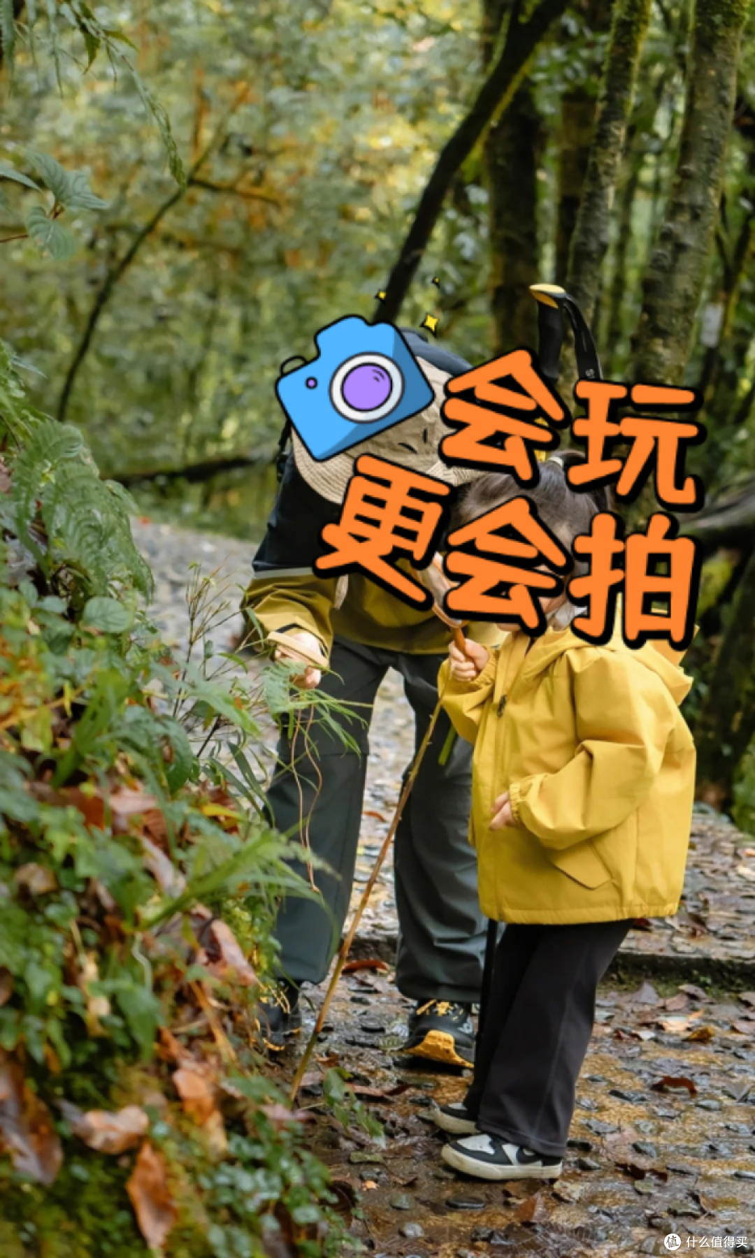 夏去秋来好出游:龙苍沟叠翠溪,自然课堂轻松行