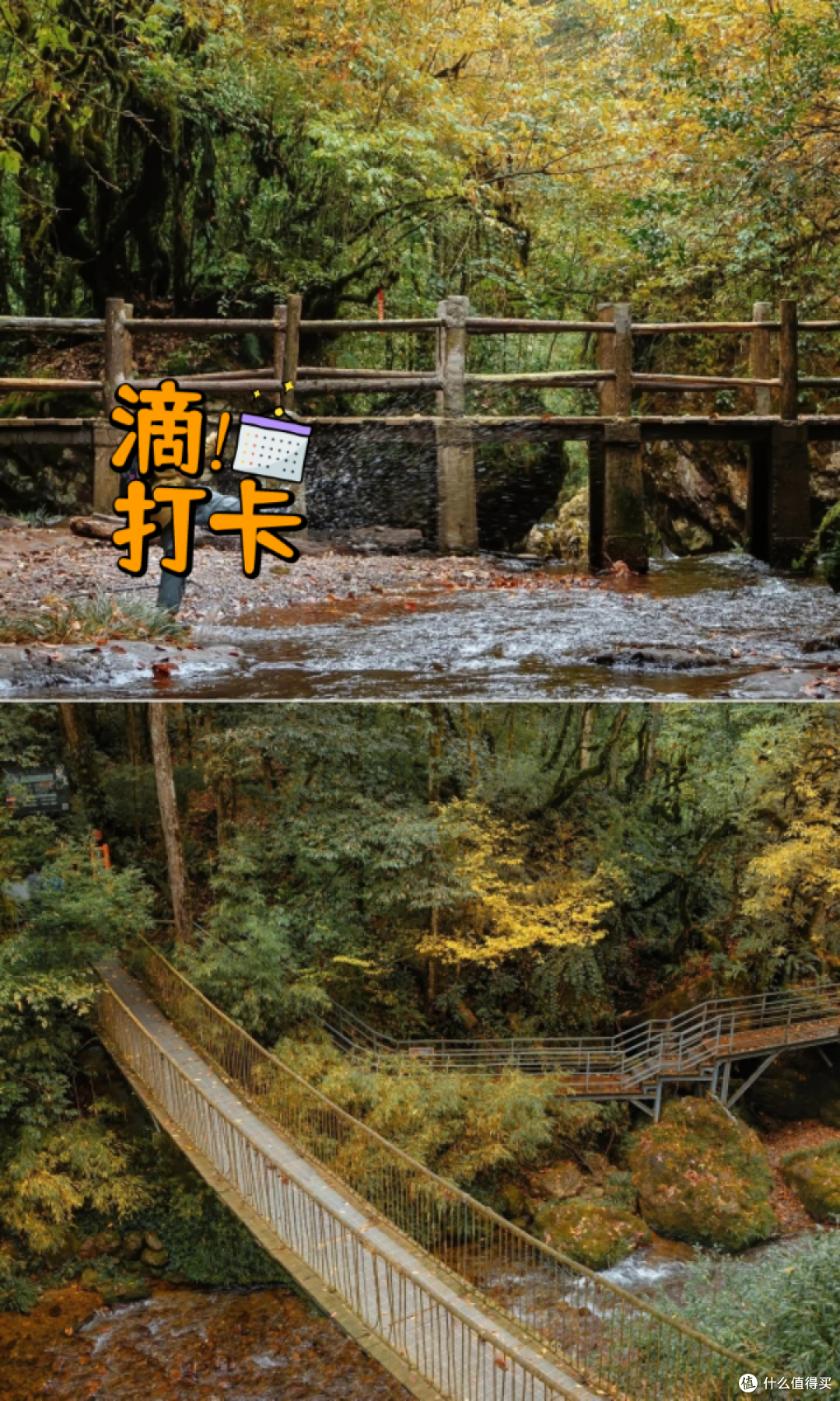 夏去秋来好出游:龙苍沟叠翠溪,自然课堂轻松行