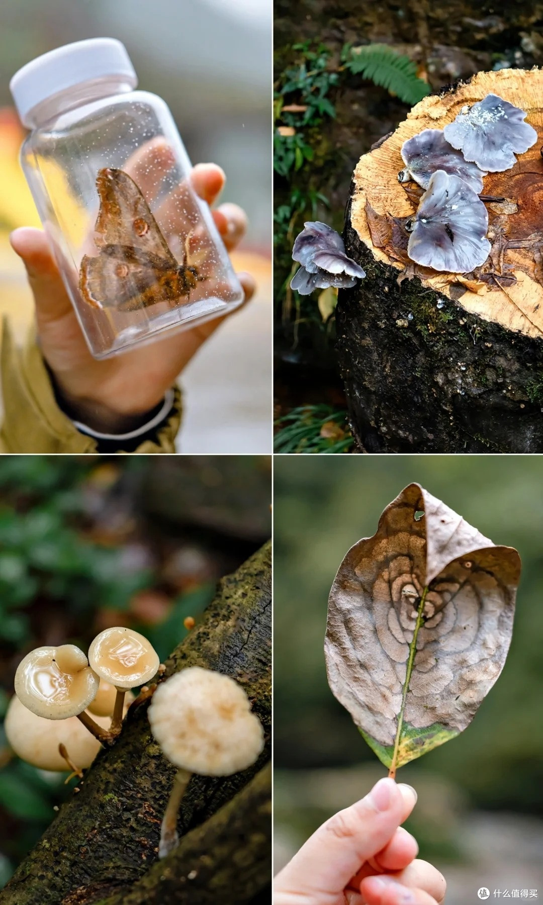 夏去秋来好出游:龙苍沟叠翠溪,自然课堂轻松行