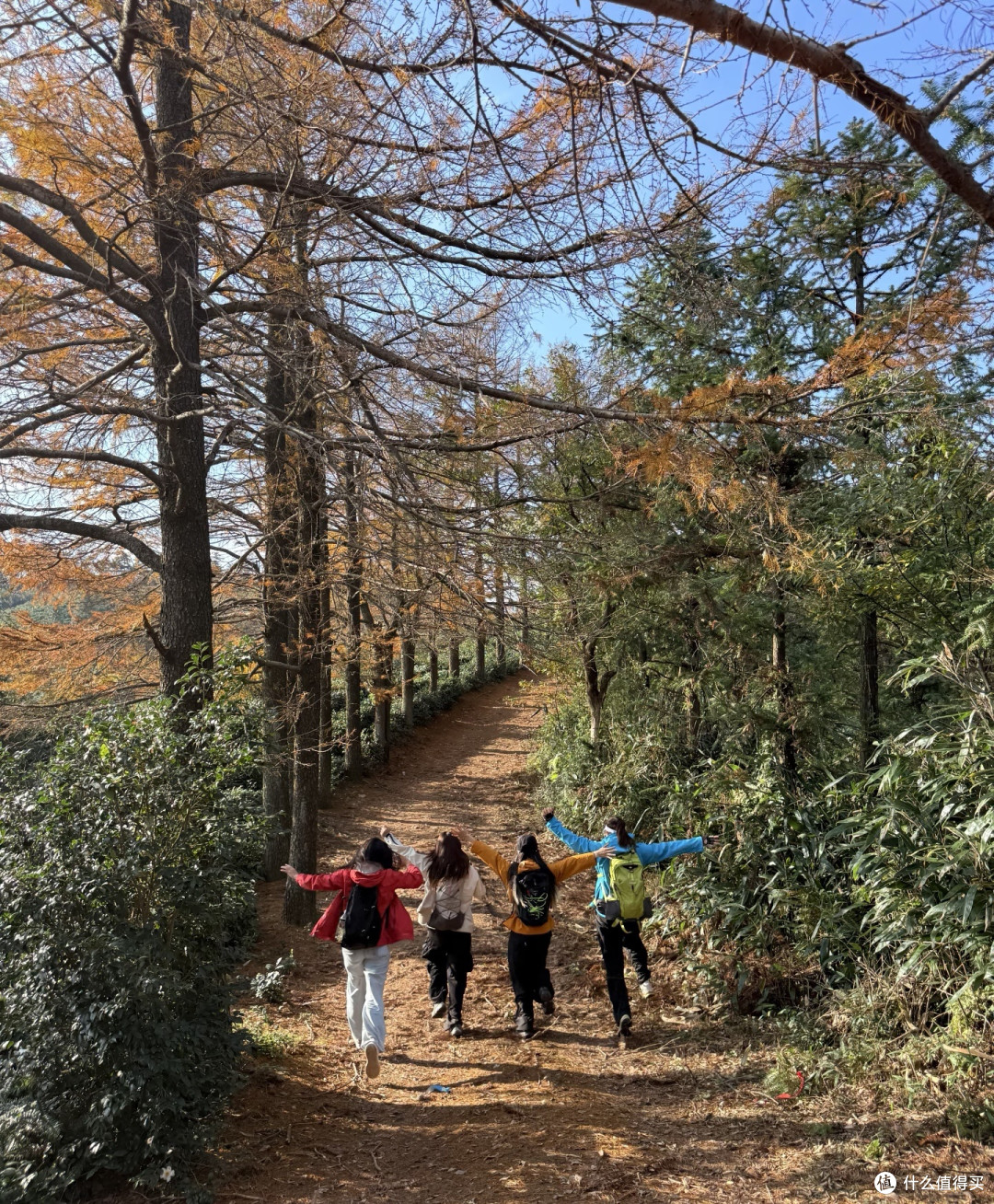 把夏天揉进秋天里:一场关于“过渡”的治愈旅行