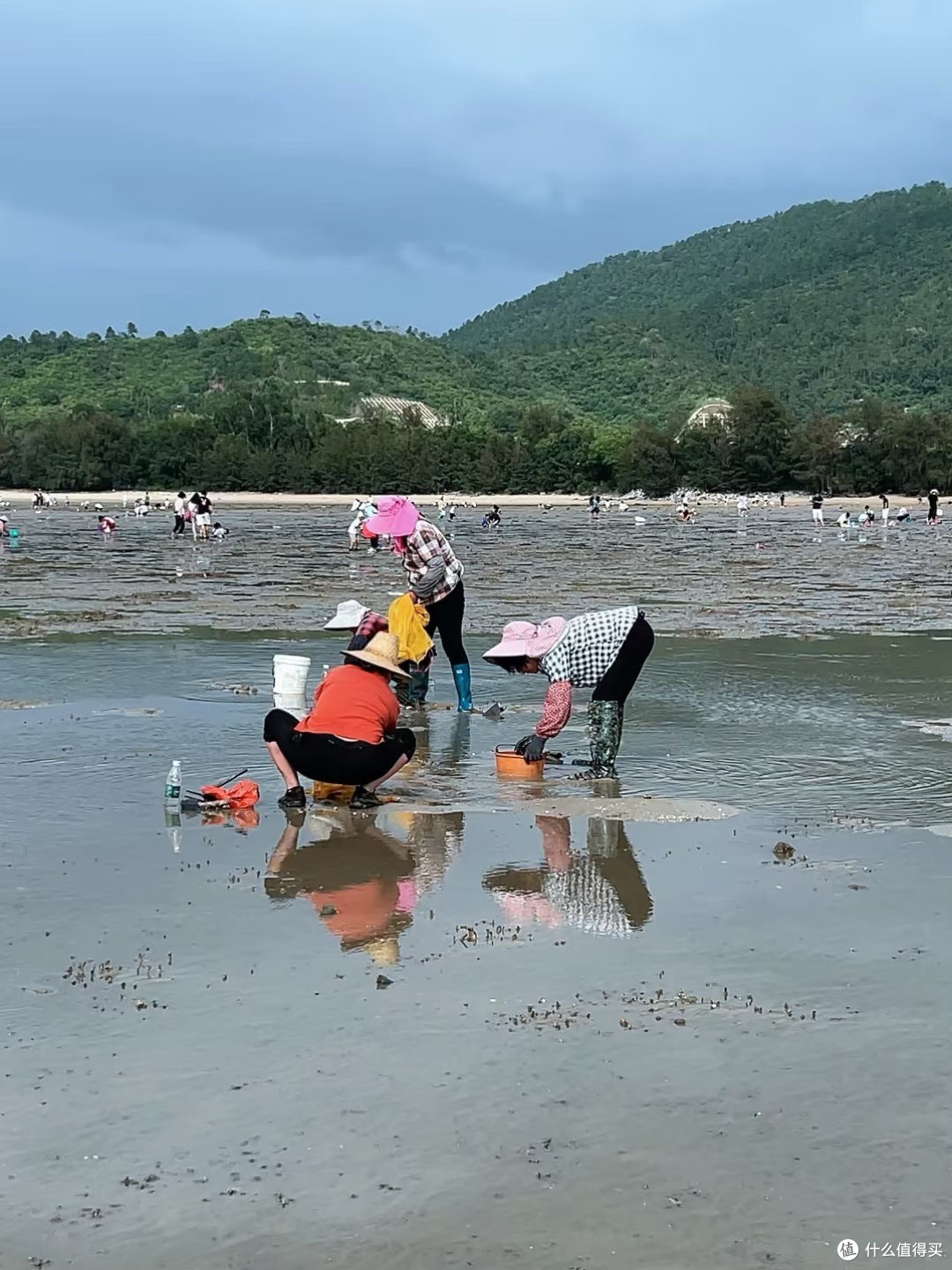 带娃去巽寮湾玩了一天,这些坑帮你避了