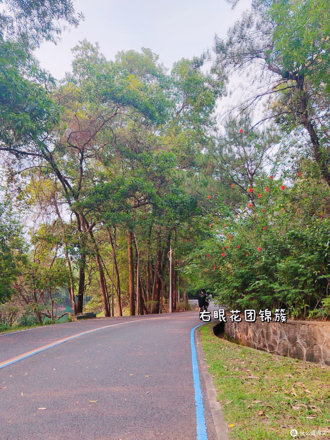 惠州红花湖骑行