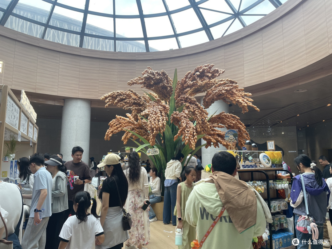 夏秋之交带娃研学好去处