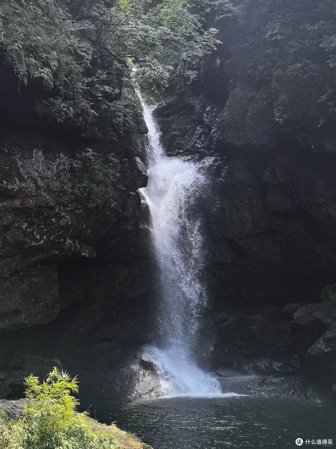 夏去秋来好出游,龙苍沟:12km 环线走完,野趣拉满的森系