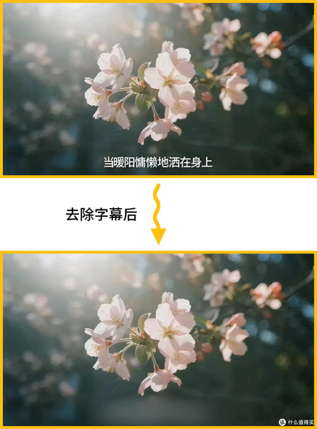 视频去除文字用什么软件好?7个高效视频去字幕的方法