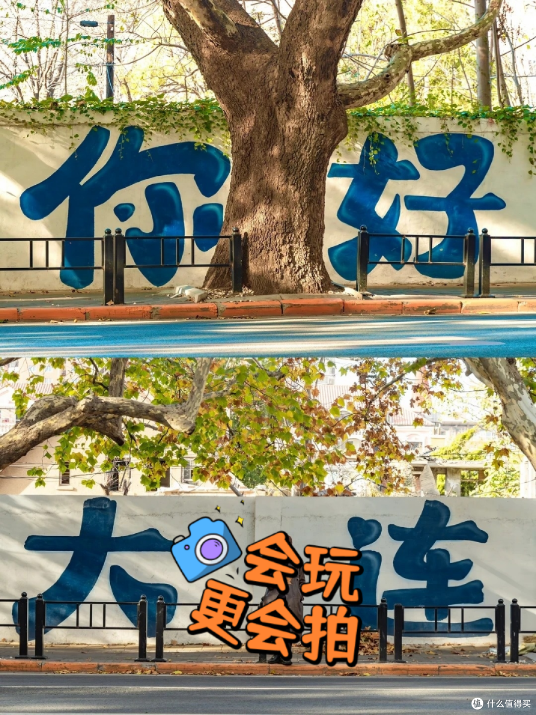 夏去秋来好出游,可惜你不来大连❗️不知道大连的秋天有多美