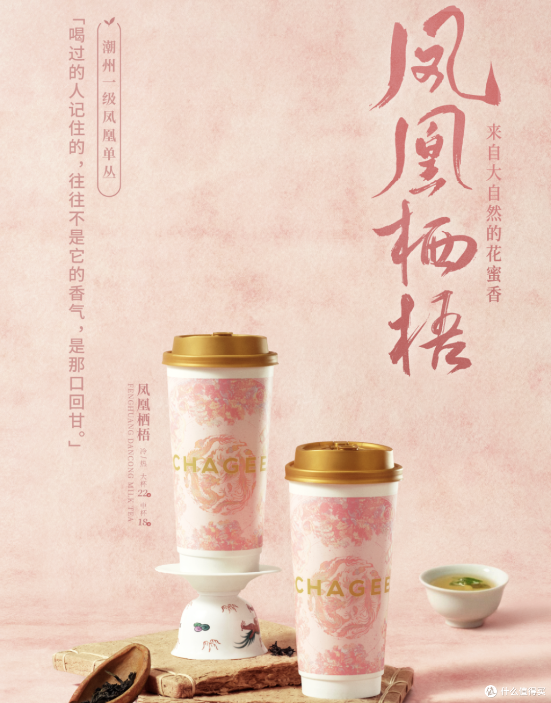 营养健康最新品：6 款新品核心亮点一次说清，想体验的快入手