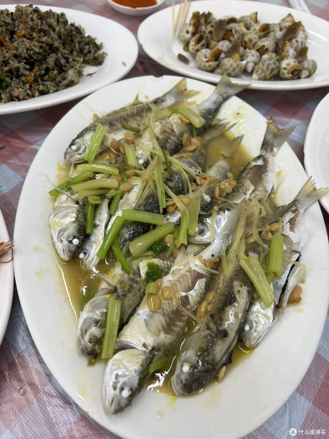 错峰去浪，南澳岛的独享浪漫