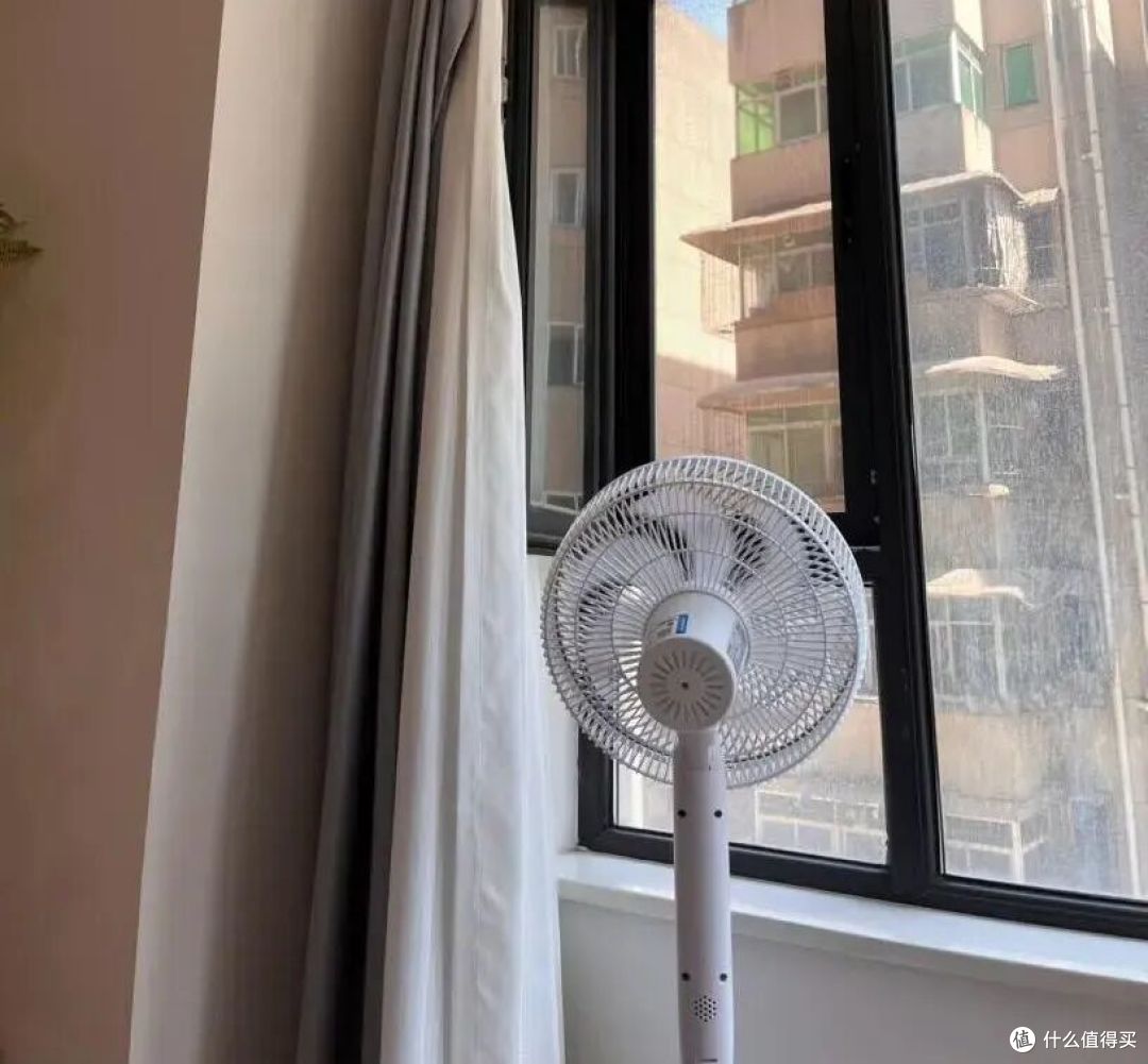 被网友家的「除味大法」惊呆了!打开思路后,家里一点也不臭