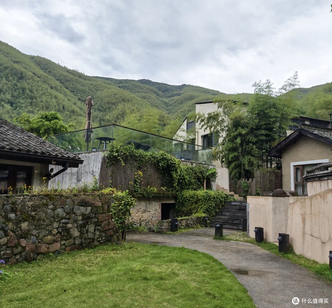 夏去秋来好出游,赴浙江莫干山山野清秋
