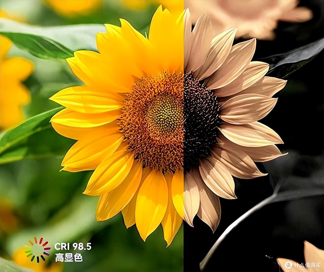 如何挑选护眼灯?护眼台灯什么牌子好?附高性价比护眼台灯推荐