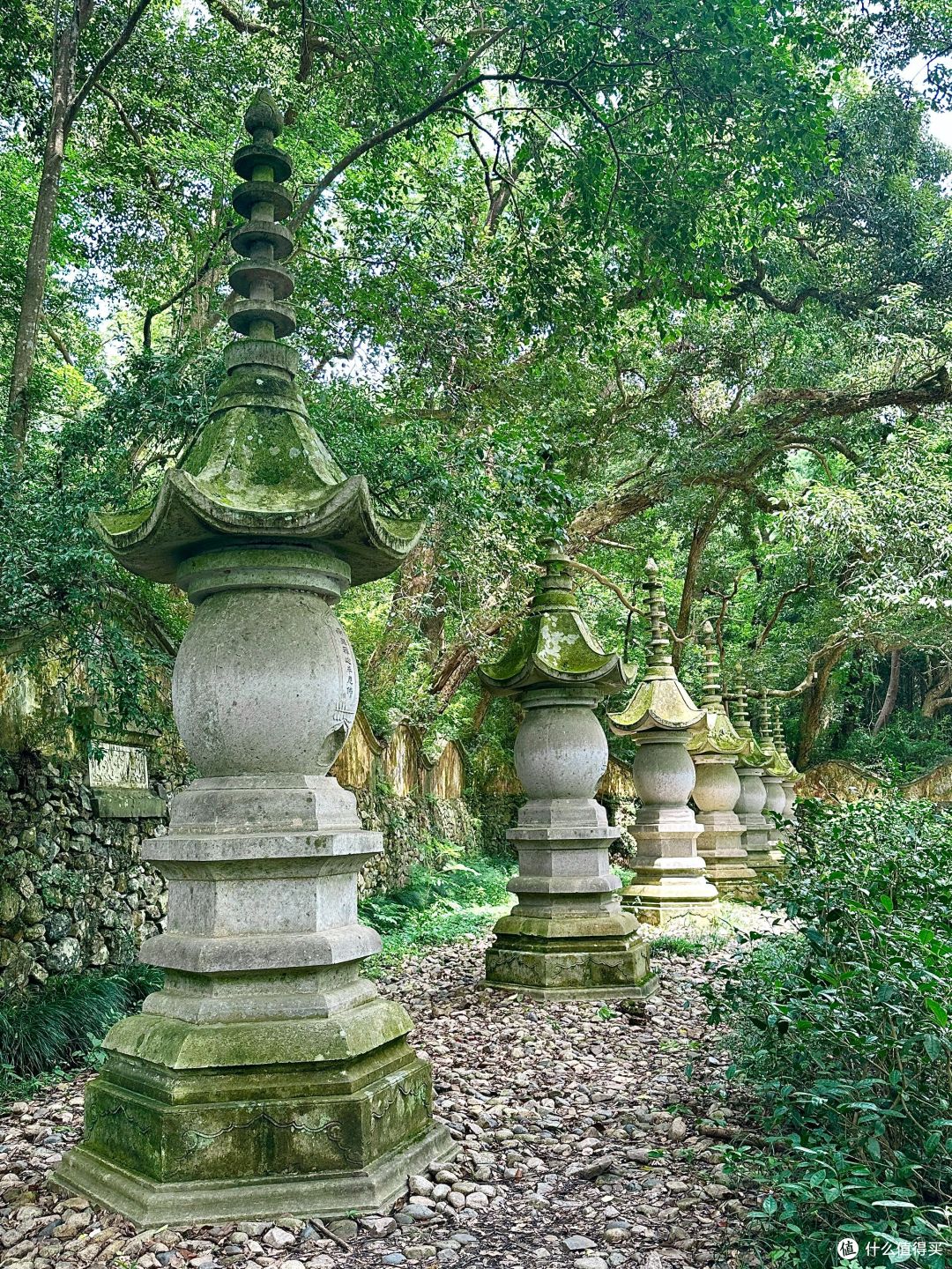 古寺寻静,两得福缘,游国清寺心安然