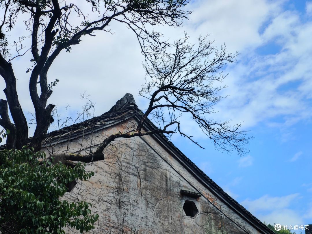 古寺寻静,两得福缘,游国清寺心安然