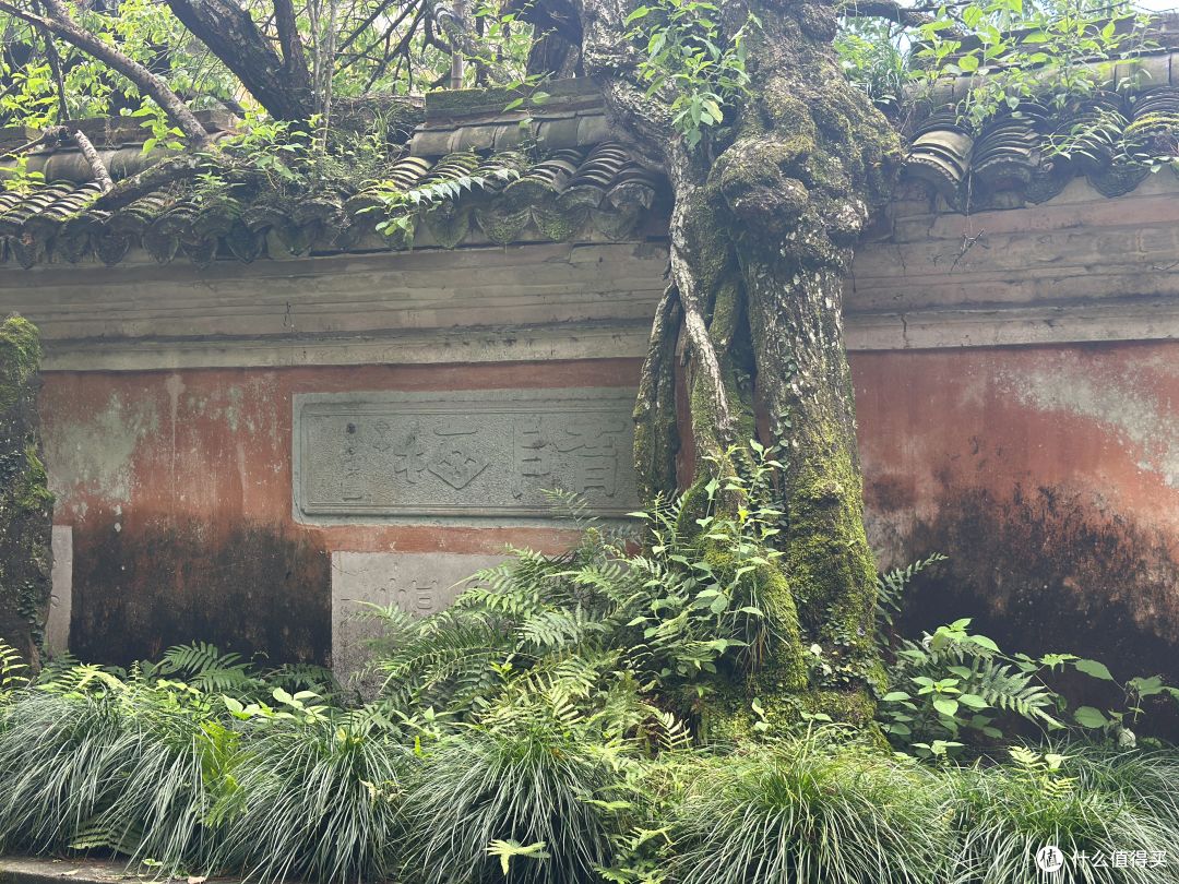 古寺寻静,两得福缘,游国清寺心安然