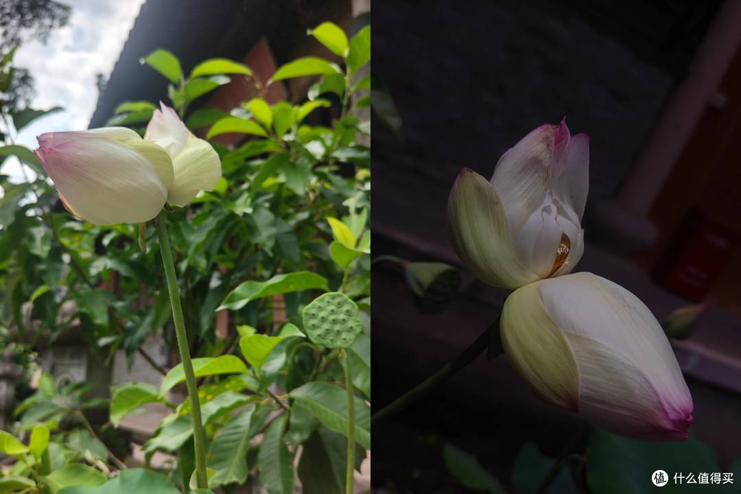 古寺寻静,两得福缘,游国清寺心安然