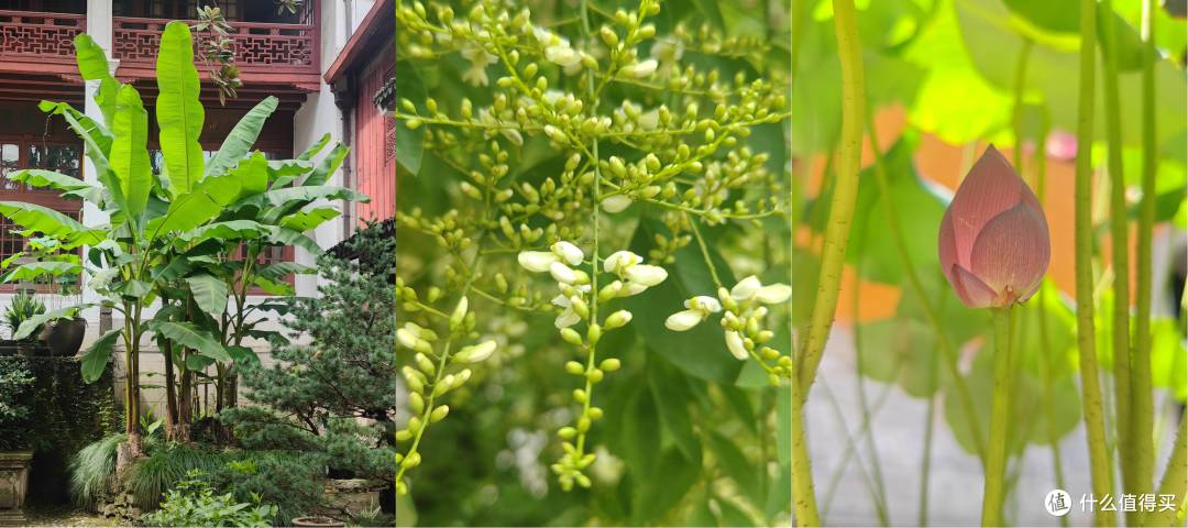 古寺寻静,两得福缘,游国清寺心安然
