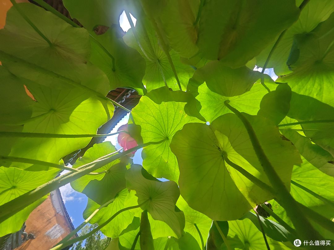 古寺寻静,两得福缘,游国清寺心安然